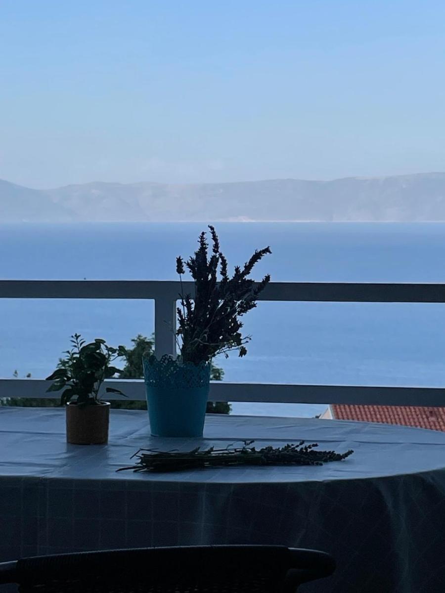 Apartment Sušanj Ravni with sea view - Housity