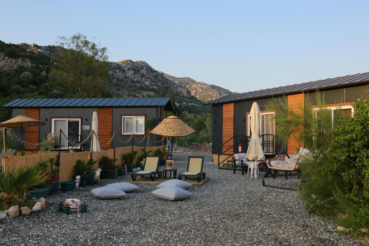 Tiny House Cactus söğüt - Housity