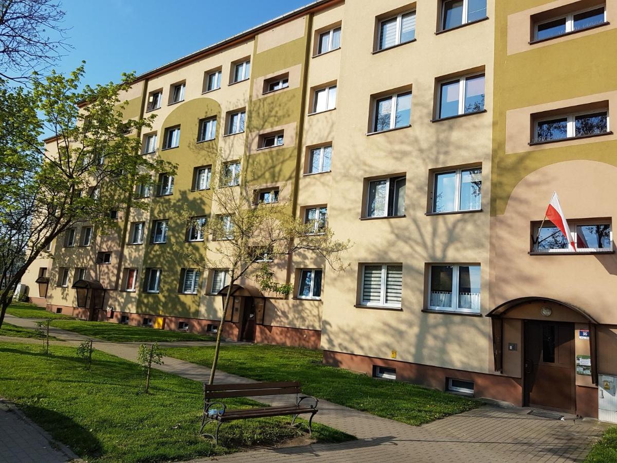 Mieszkanie jednopokojowe Bolesławiec w centrum - wymagana kaucja zwrotna - Housity