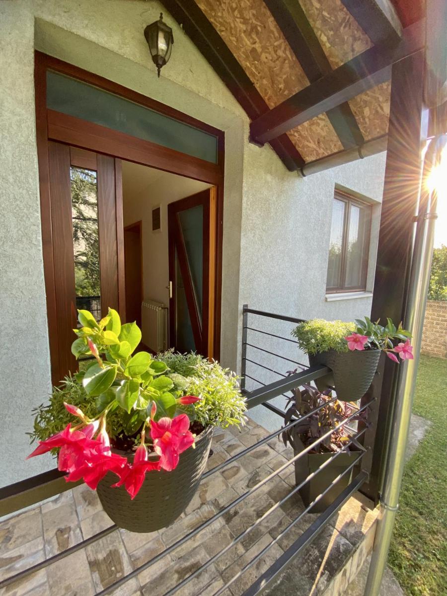Domus apartman - Housity