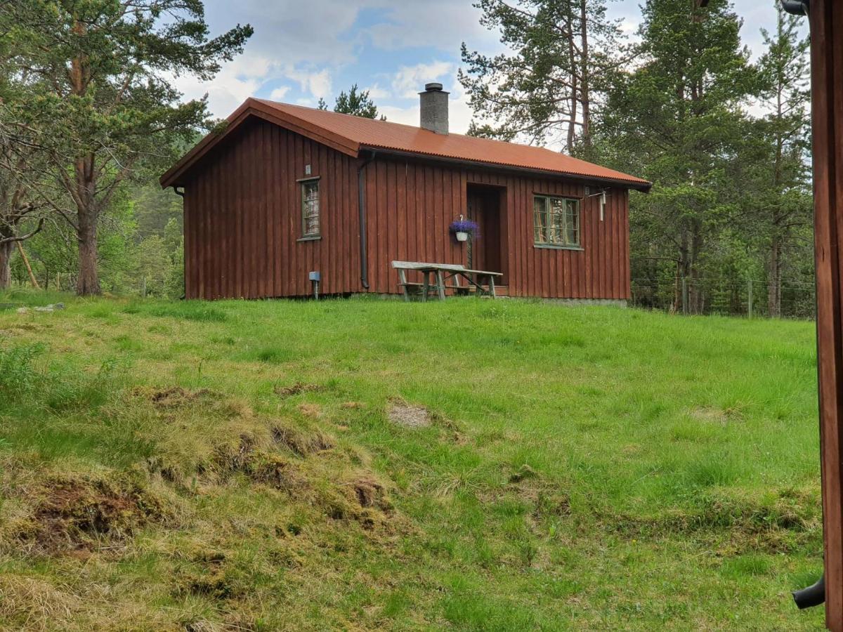 Borkhushyttene - Housity