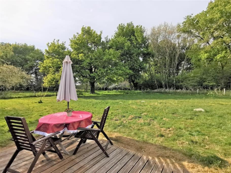 Gîte à la campagne - Housity
