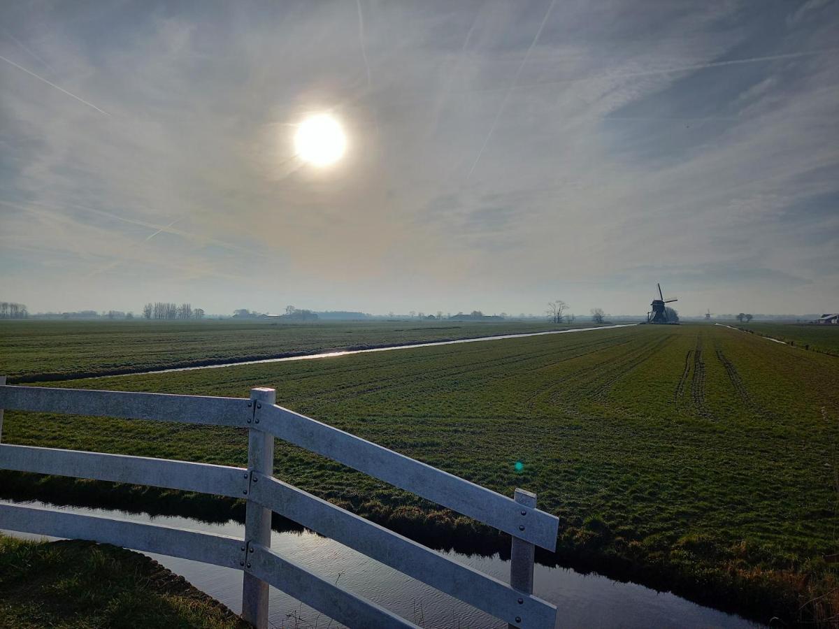 Tiny house het Polderhuisje - Housity