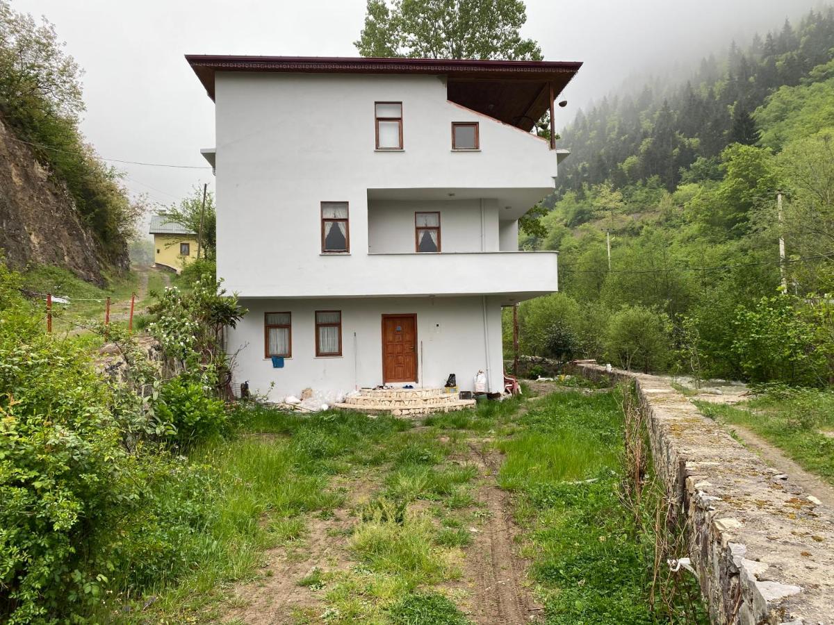 Suitetrails - Mert