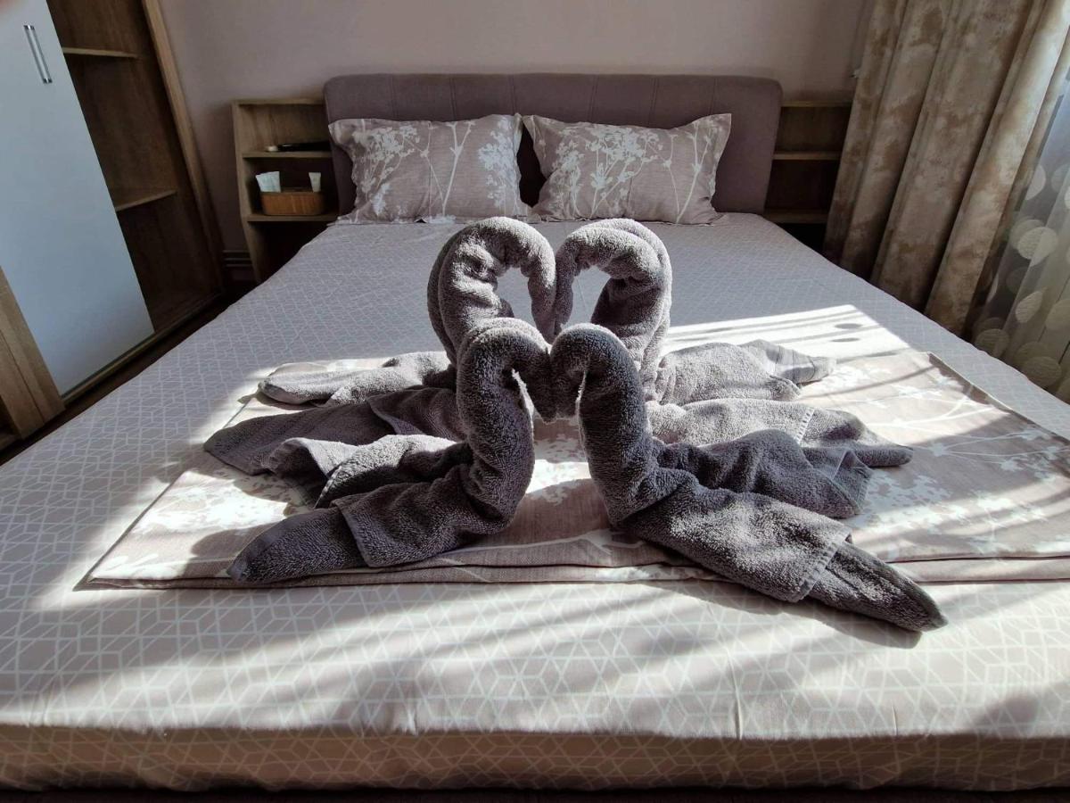 APARTAMENT Madalina Motoianu - Housity