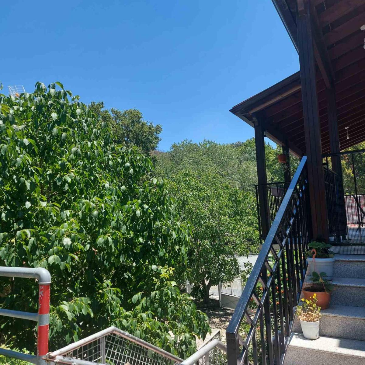 Tranquil guest house set in natural beauty! - Housity