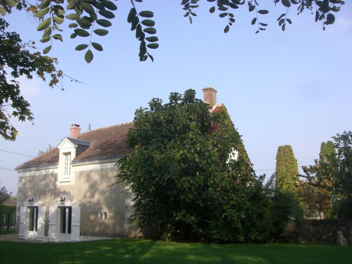 Gîte Saint-Georges-sur-Cher, 6 pièces, 12 personnes - FR-1-491-118 - Housity