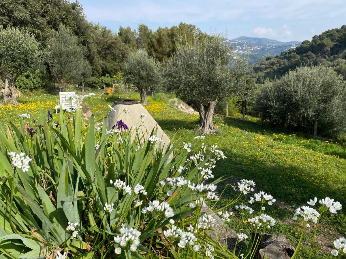 BREATHE - Unique Guest House : City center and nature - Housity