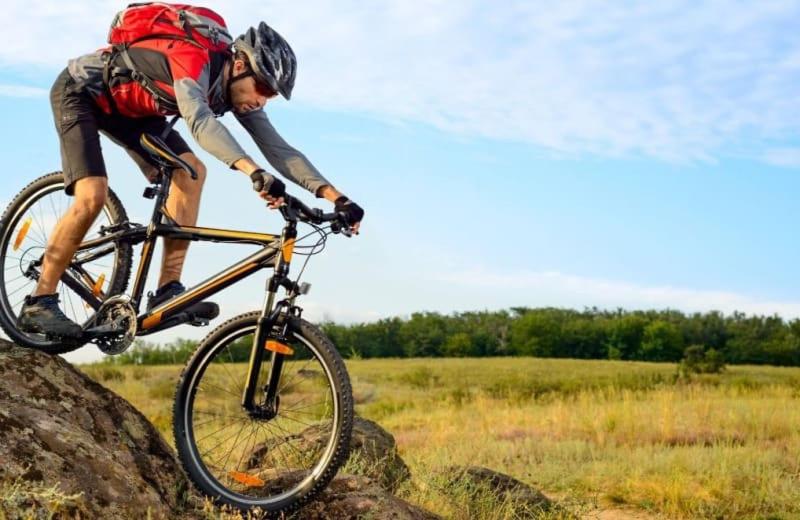 Suitetrails - Vakantiepark Drentse Weelde
