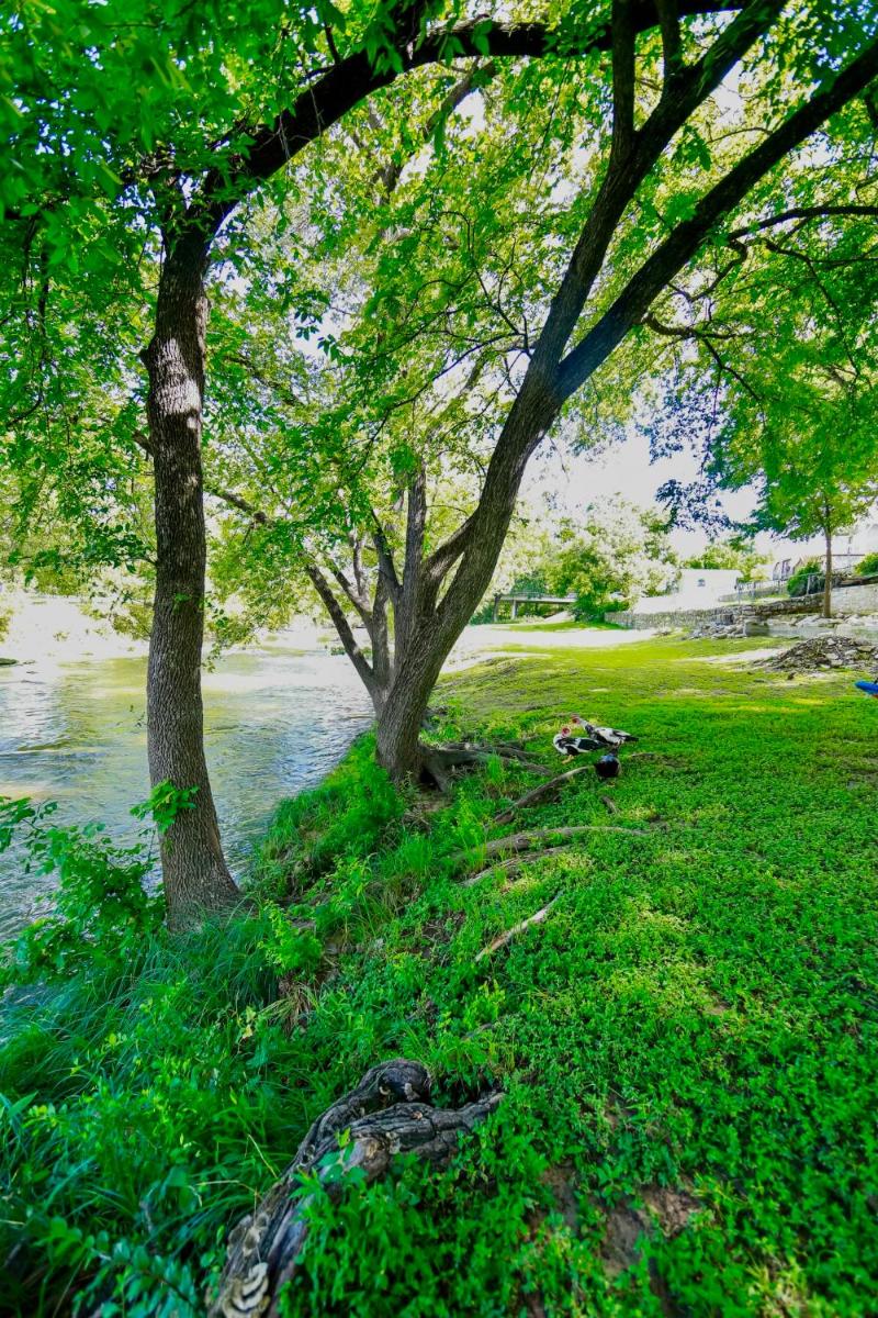 Creek side Treehouse - Housity