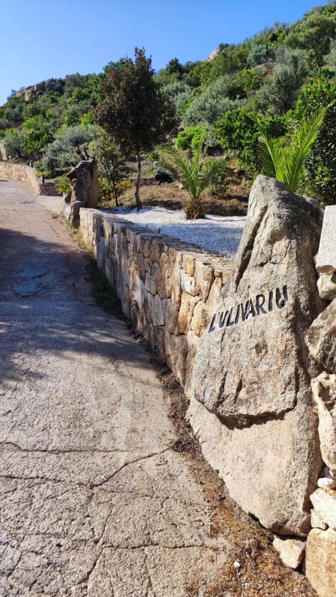 casa l'Ulivariu affittacamere - Housity