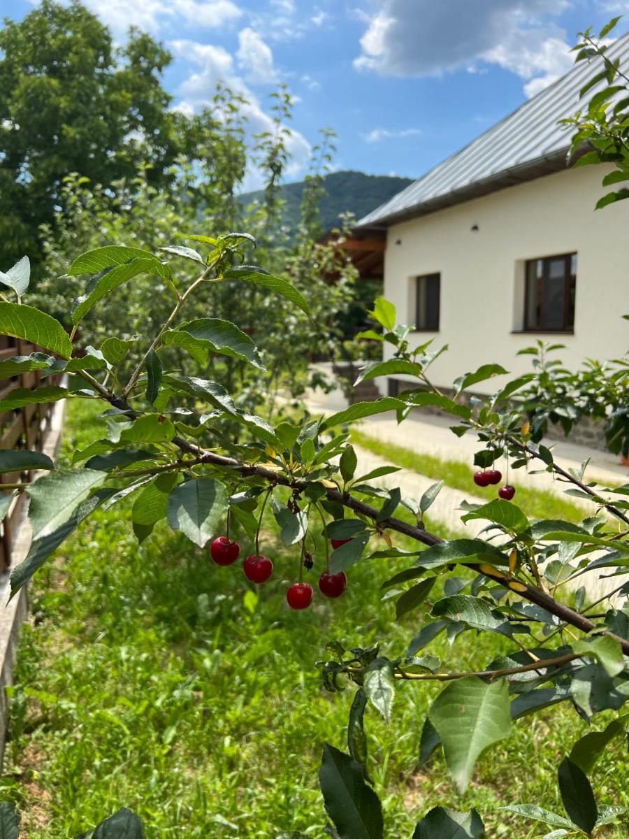Casa Ana Corbșori - Housity