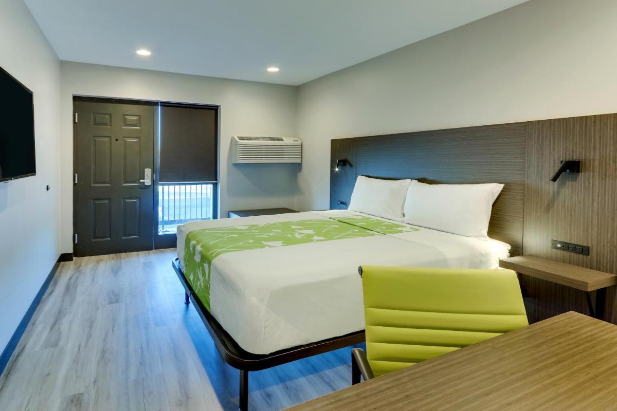 The Shamrock - Housity