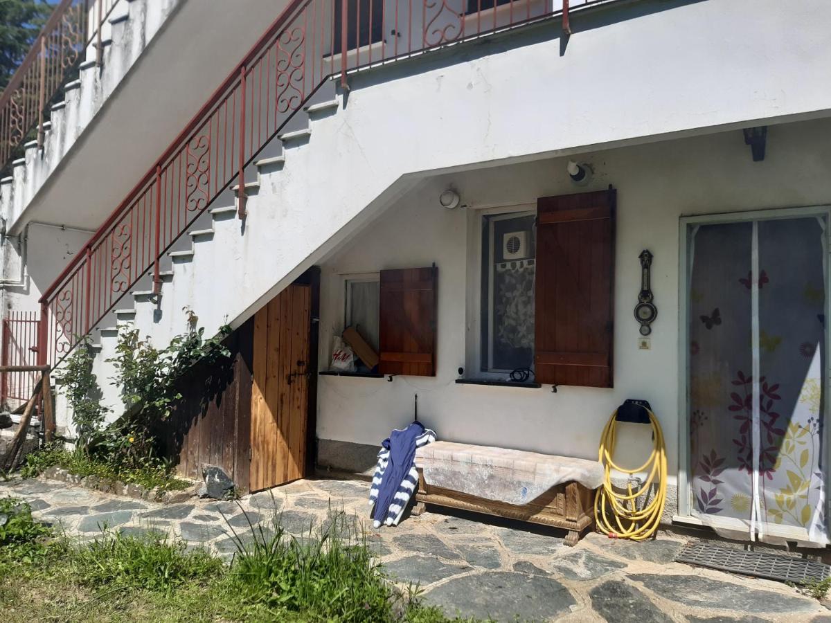 Appartamento rustico in collina con ampio giardino - Housity