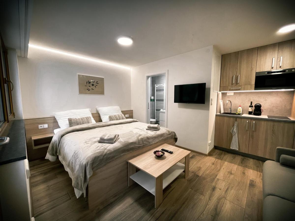U Králíka, přízemní bezbarierové apartmány A,B,C,D - 50 metrů od vleku - přejdete v lyžácích, pod bobovou dráhou, parkování zdarma, lyžárna s vysoušeči bot, - Housity