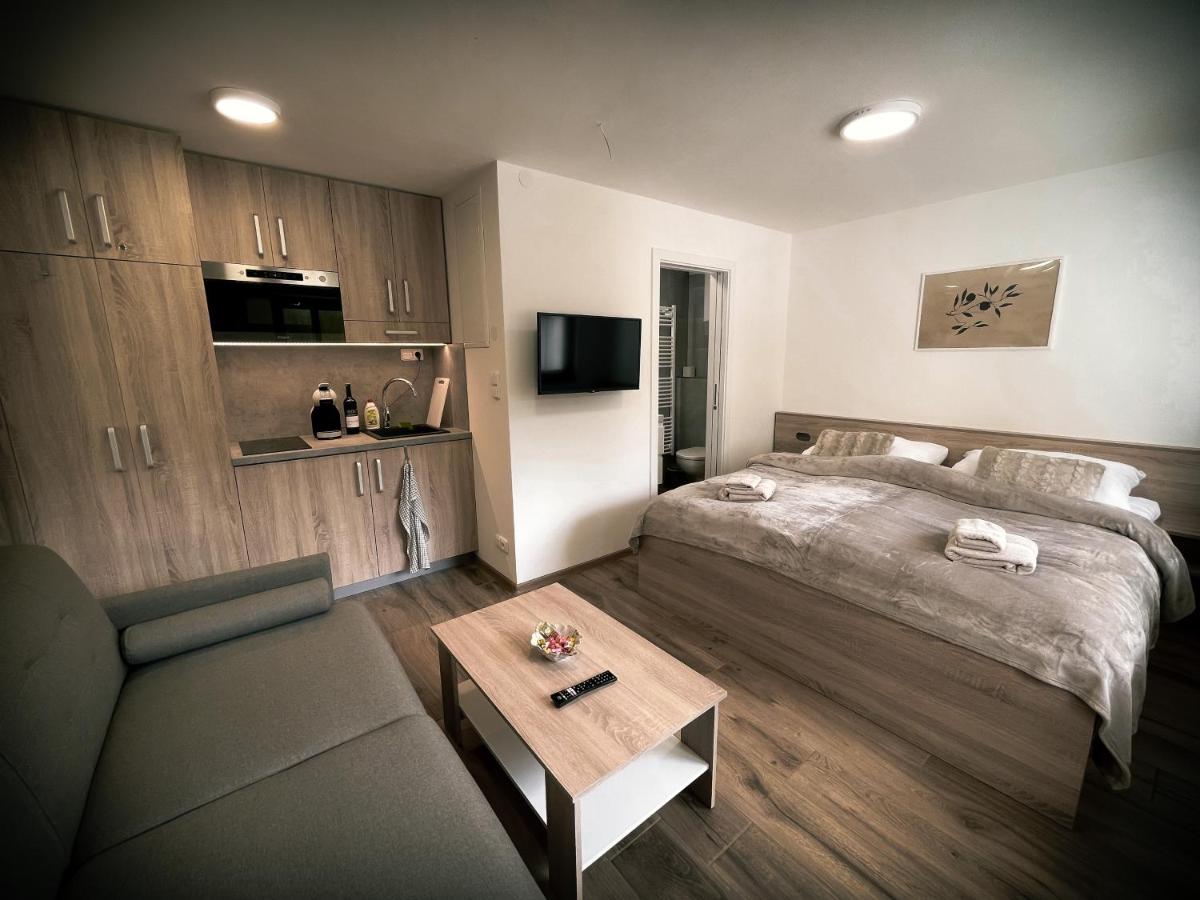 U Králíka, přízemní bezbarierové apartmány A,B,C,D - 50 metrů od vleku - přejdete v lyžácích, pod bobovou dráhou, parkování zdarma, lyžárna s vysoušeči bot, - Housity