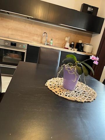 Apartma Bohinj - Housity