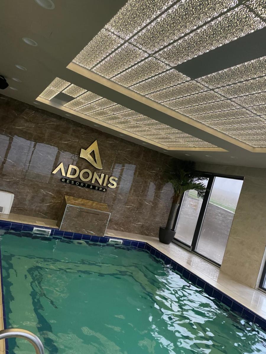 Apartmani Sofrenic-Hotel Adonis - Housity