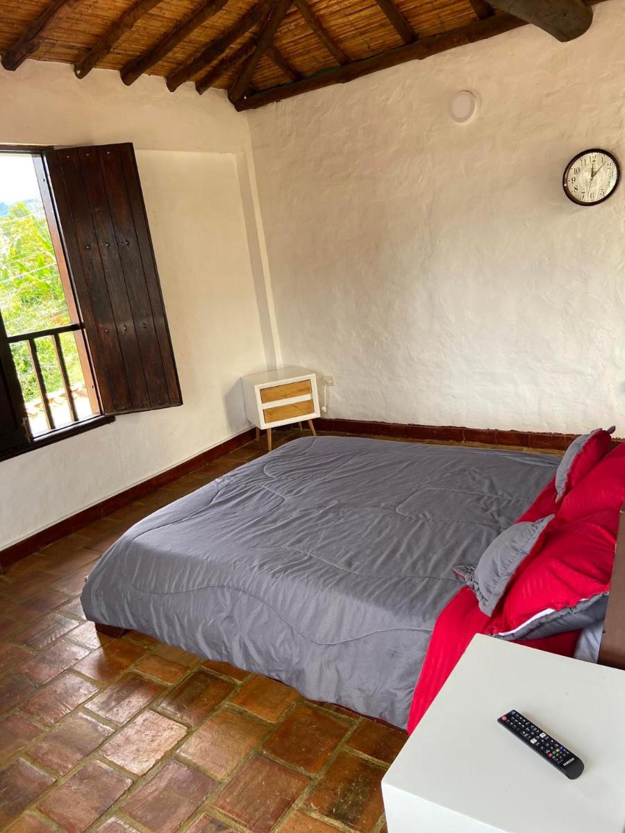 Casa Hostal Bellavista - Housity