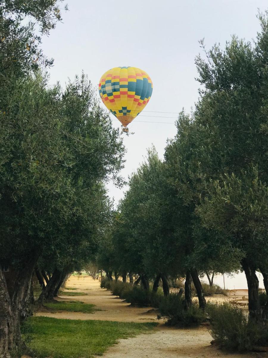 Guadalupe Valle Glamping - Housity