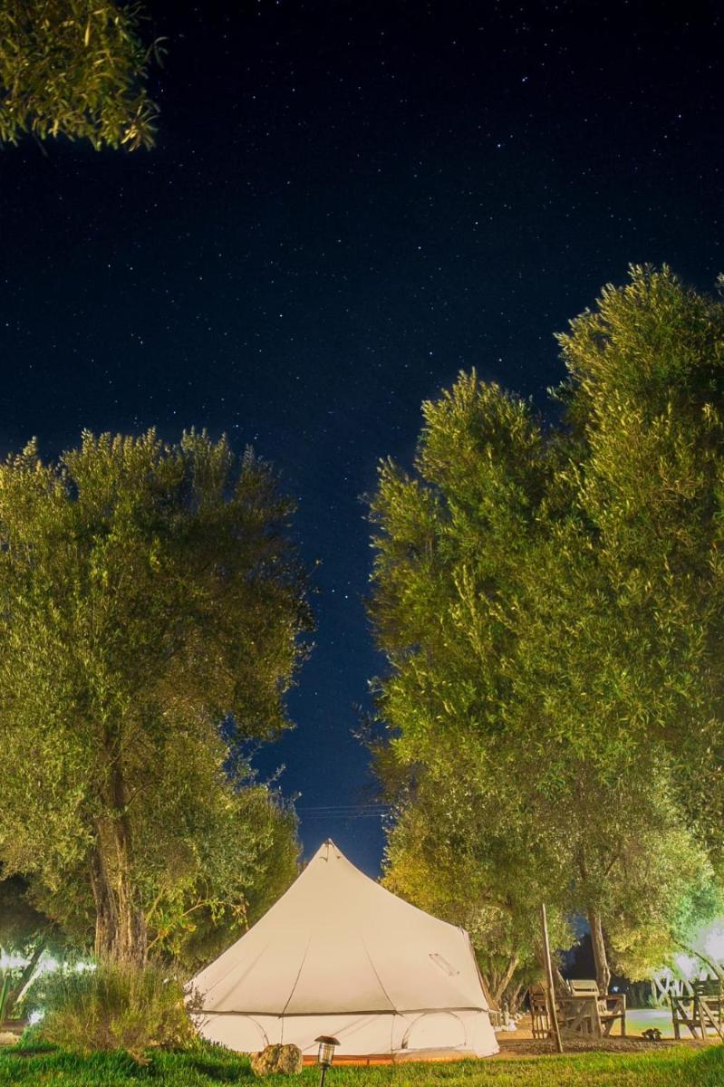 Guadalupe Valle Glamping - Housity