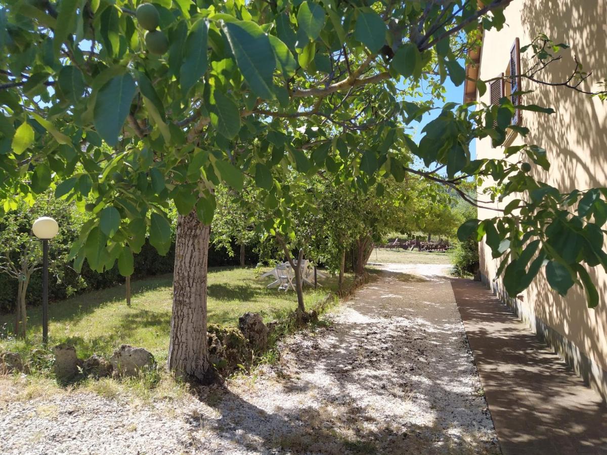 il passero - Housity