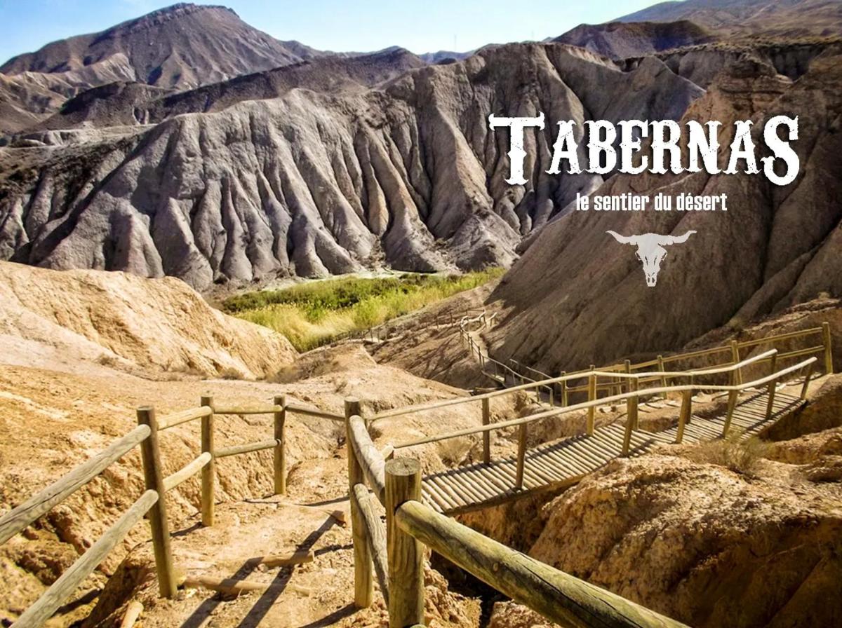 One bedroom appartement with private pool and enclosed garden at Tabernas - Housity