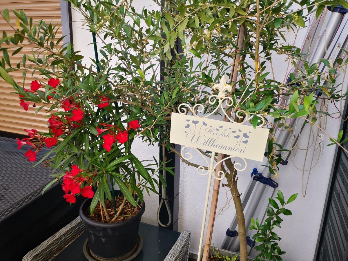 Ferienwohnung Künstler Karlo - Housity