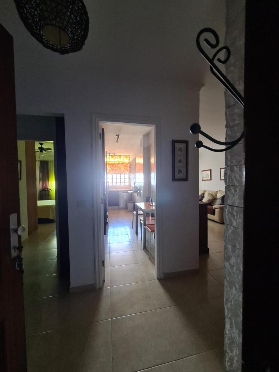 CAROLINA SUITE APARTMENT - Housity