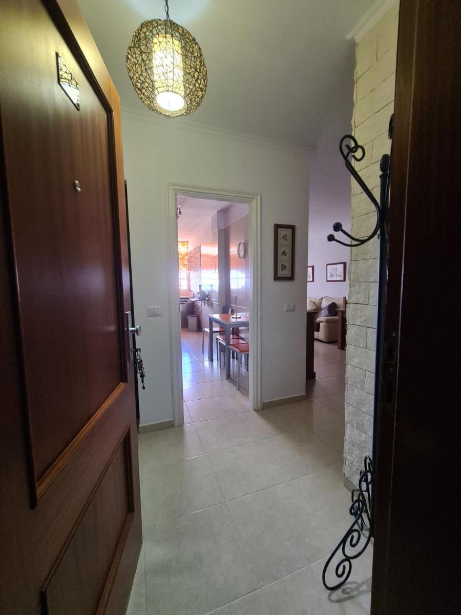 CAROLINA SUITE APARTMENT - Housity