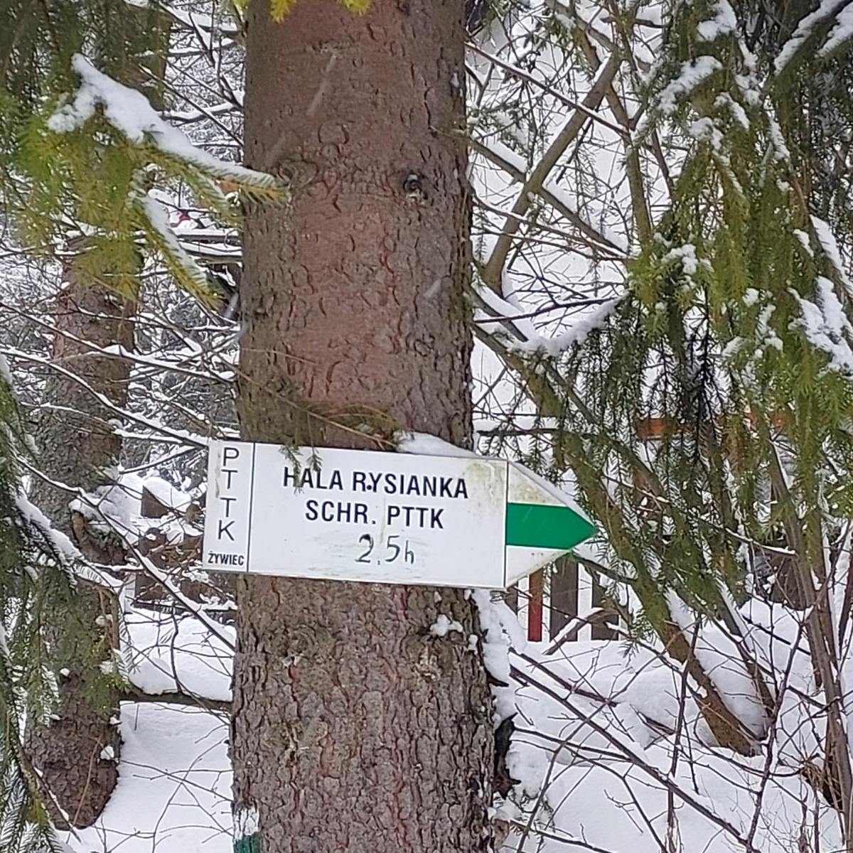 Villa Eva & Lilou Pod Rysianką - Housity