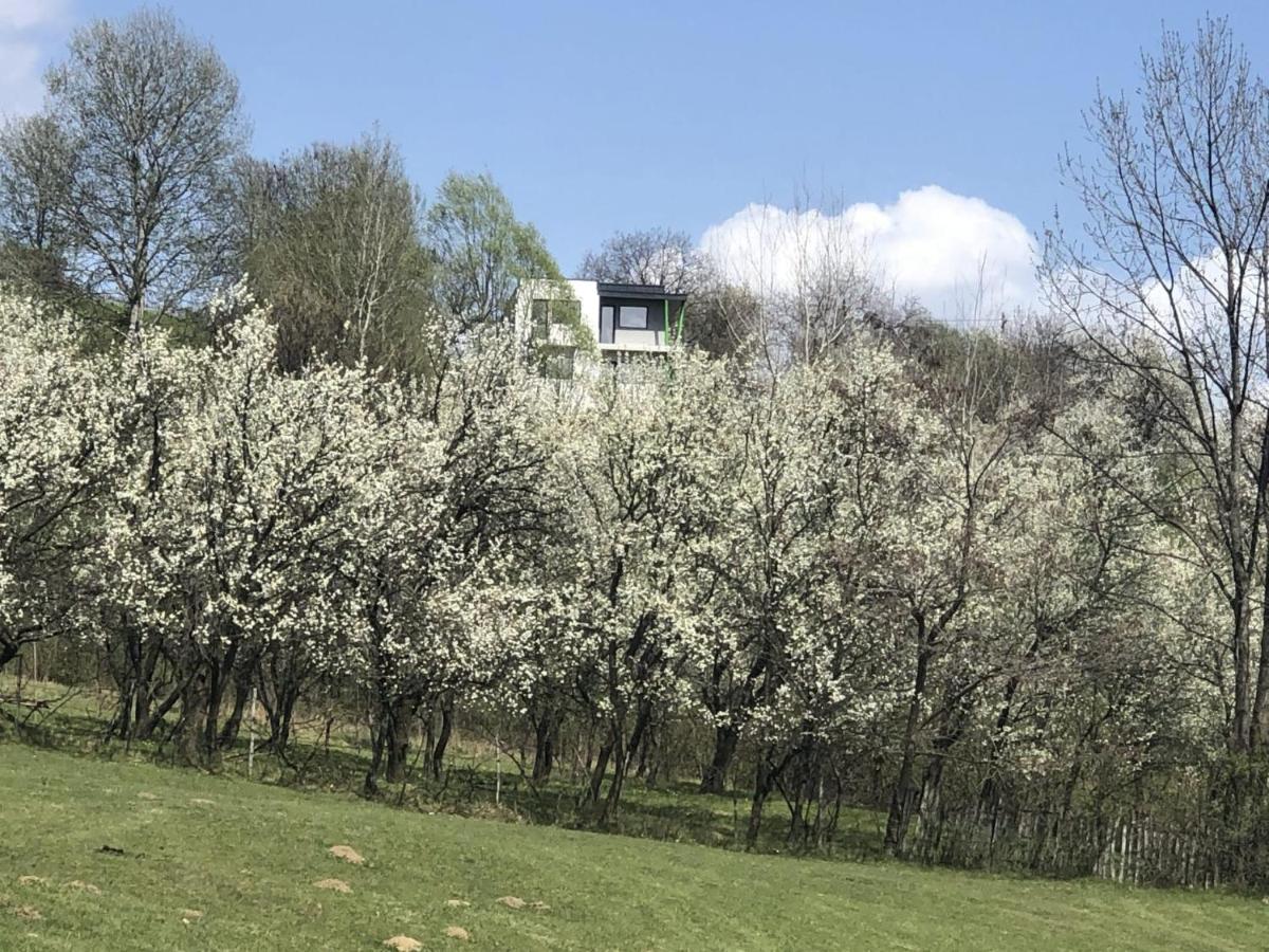 VILA VALEA PRAHOVEI VIEW - Housity