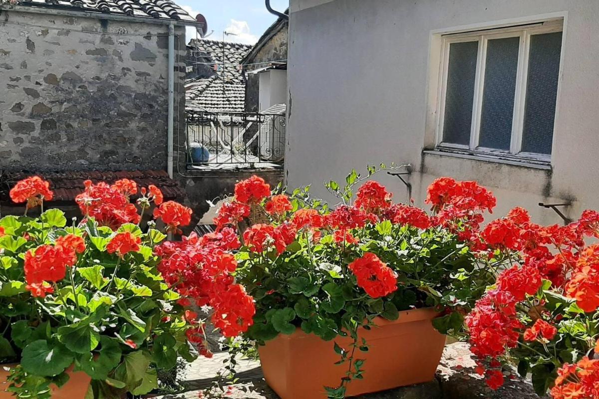Beautiful 2-Bed House in Longoio Bagni Di Lucca - Housity