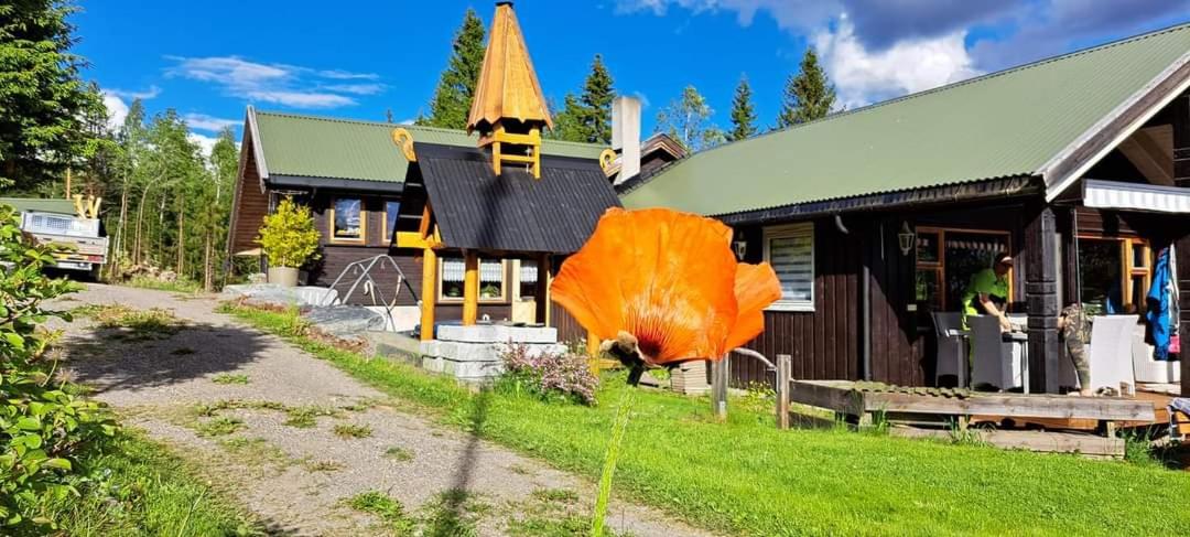 Ønskedrømmen hytteutleie - Housity