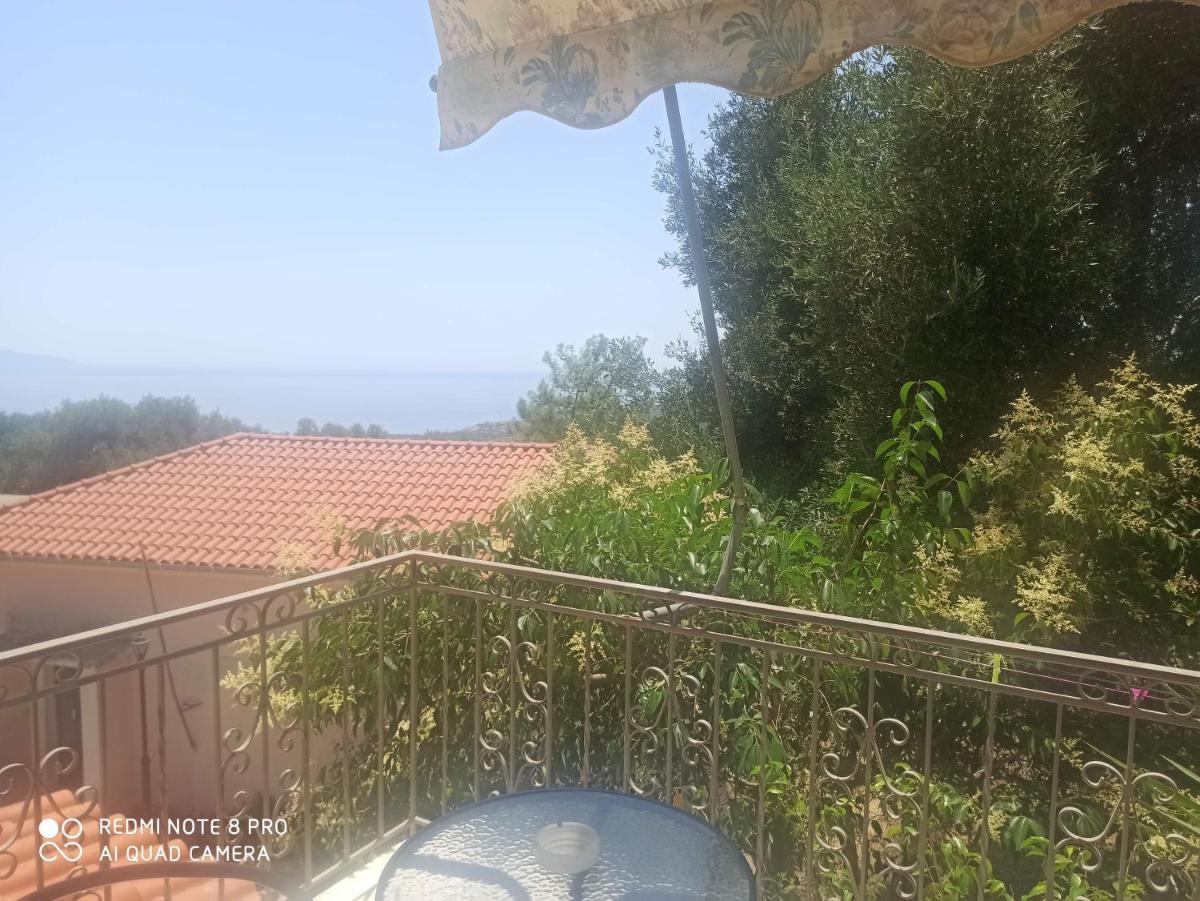 Erminia Studios - Housity