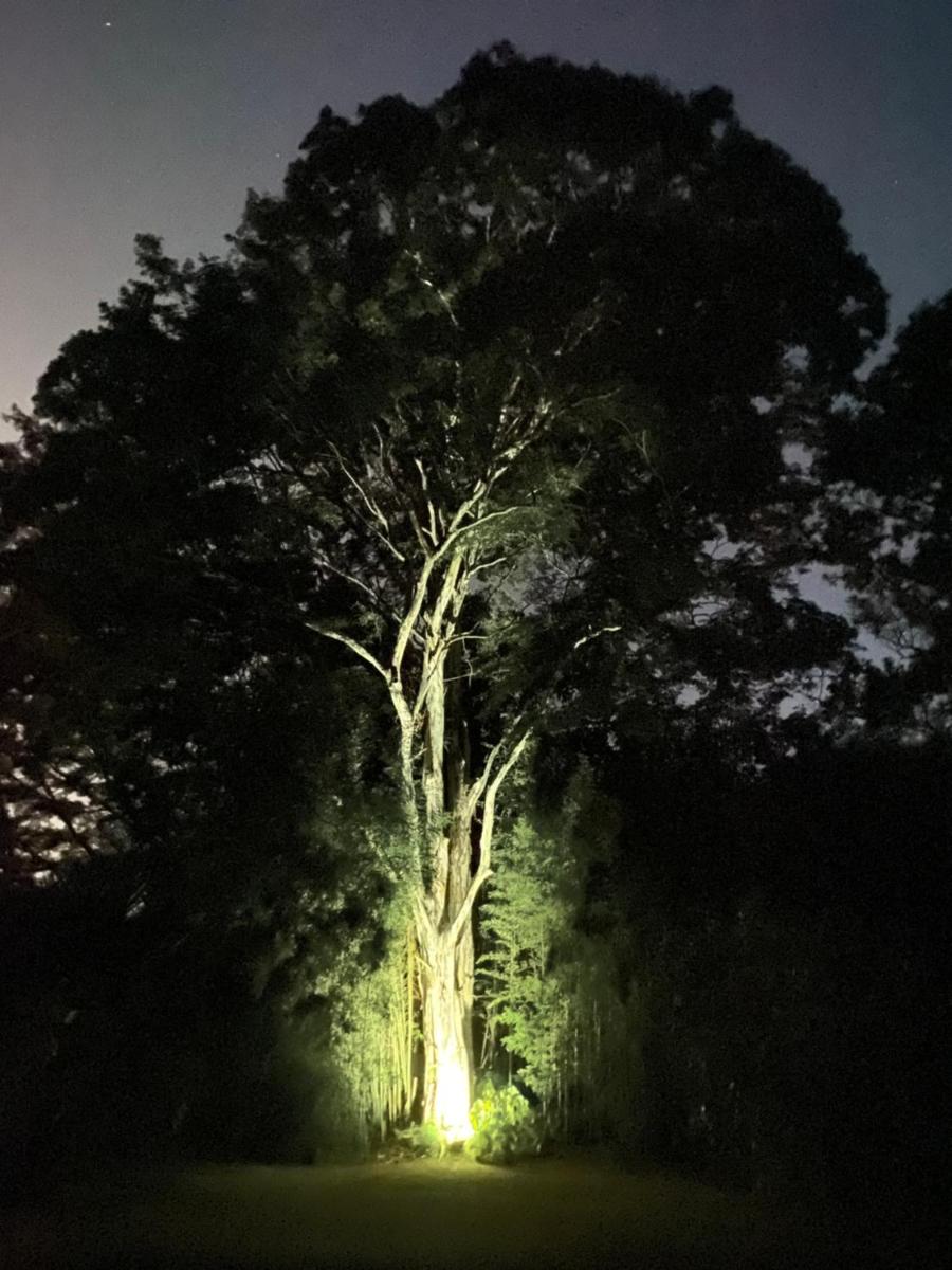 Recanto da Floresta - Casa de campo em Secretário - Housity