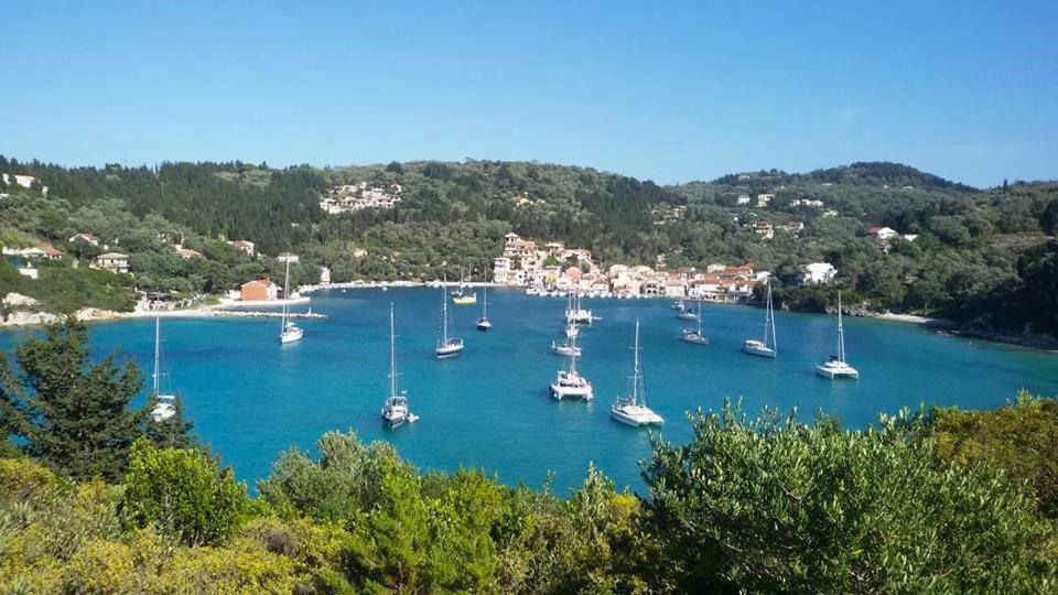 Dimitri's Seaview Studio - Lakka Paxos - Housity