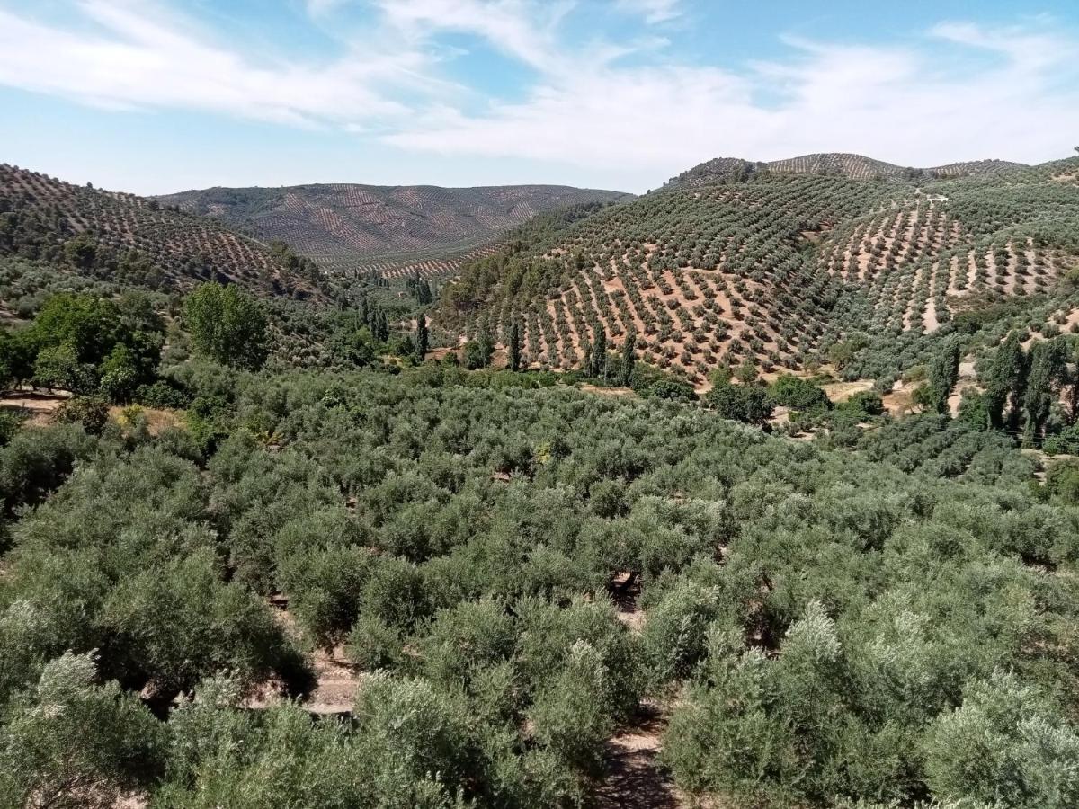 El Almendro De La Tia Teresa - Housity