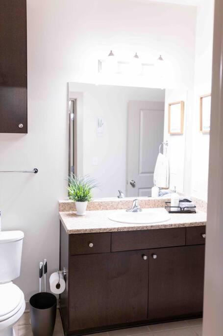 AMPLIFY SPACES 1 and 2 BR Apartments, Downtown Birmingham, UAB - Housity