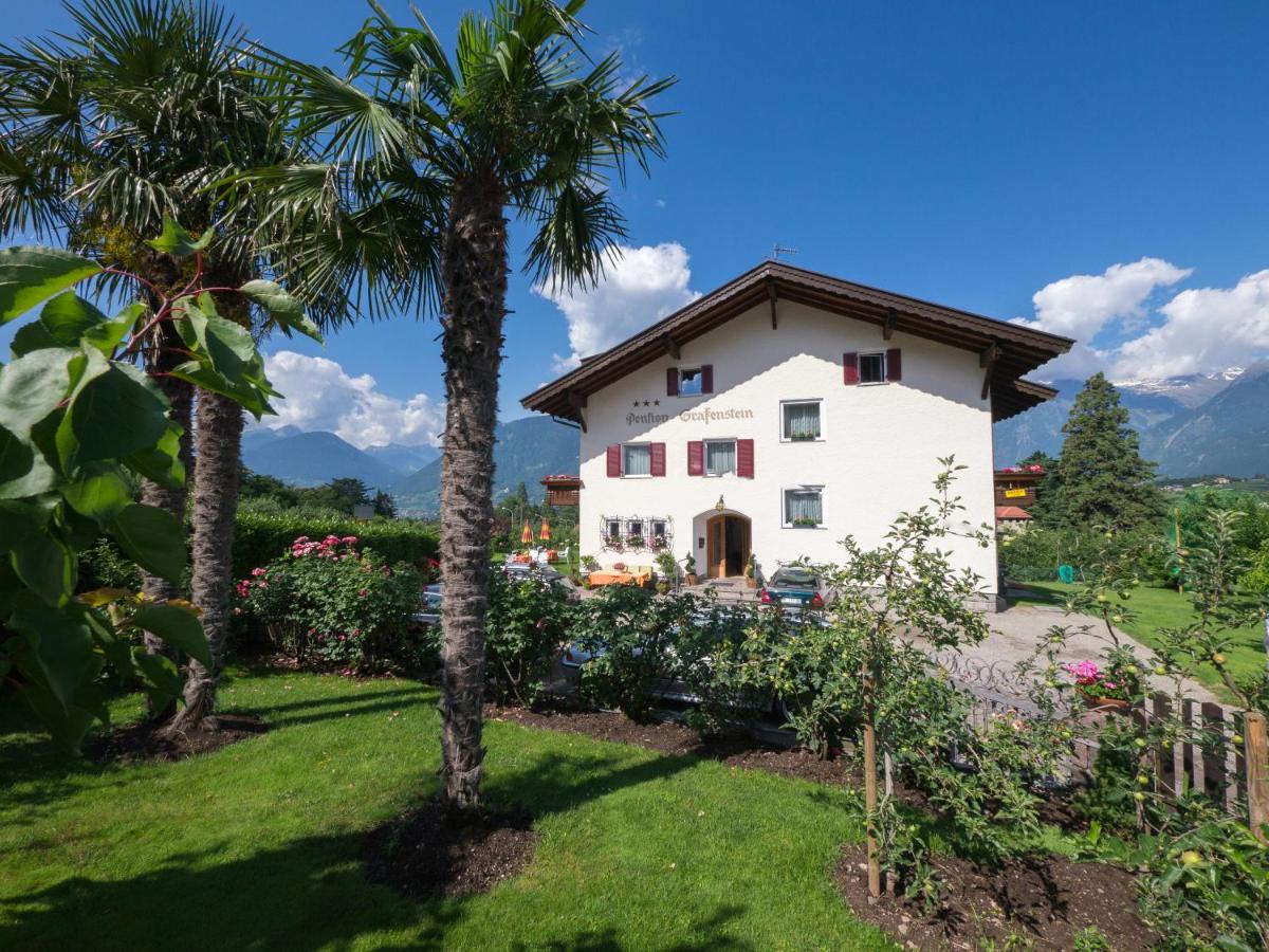 Guesthouse Pension Grafenstein - Housity