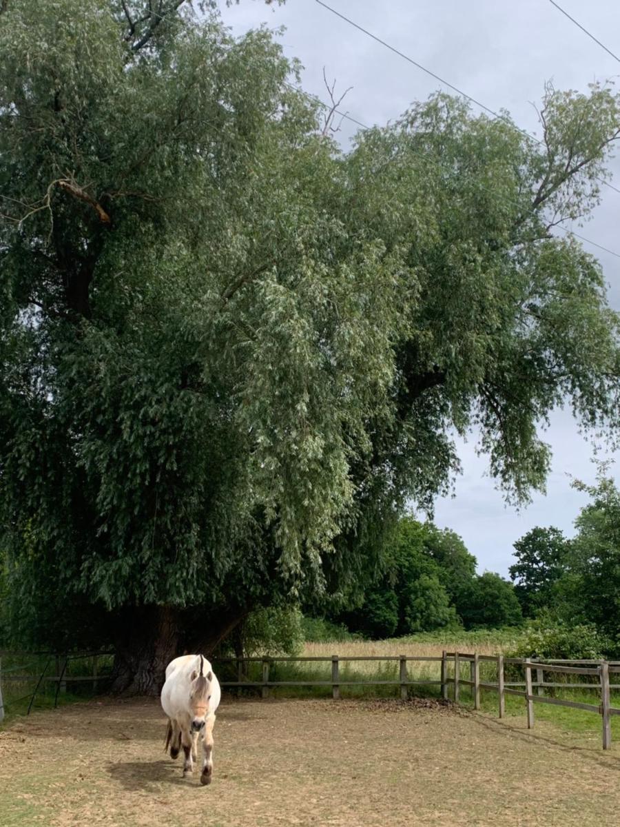Surrey Hills Barn Stays - Housity