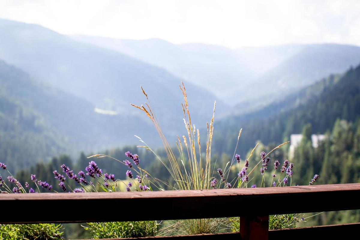 Bergblick Ruhe und Aussicht auf 1100m - Housity