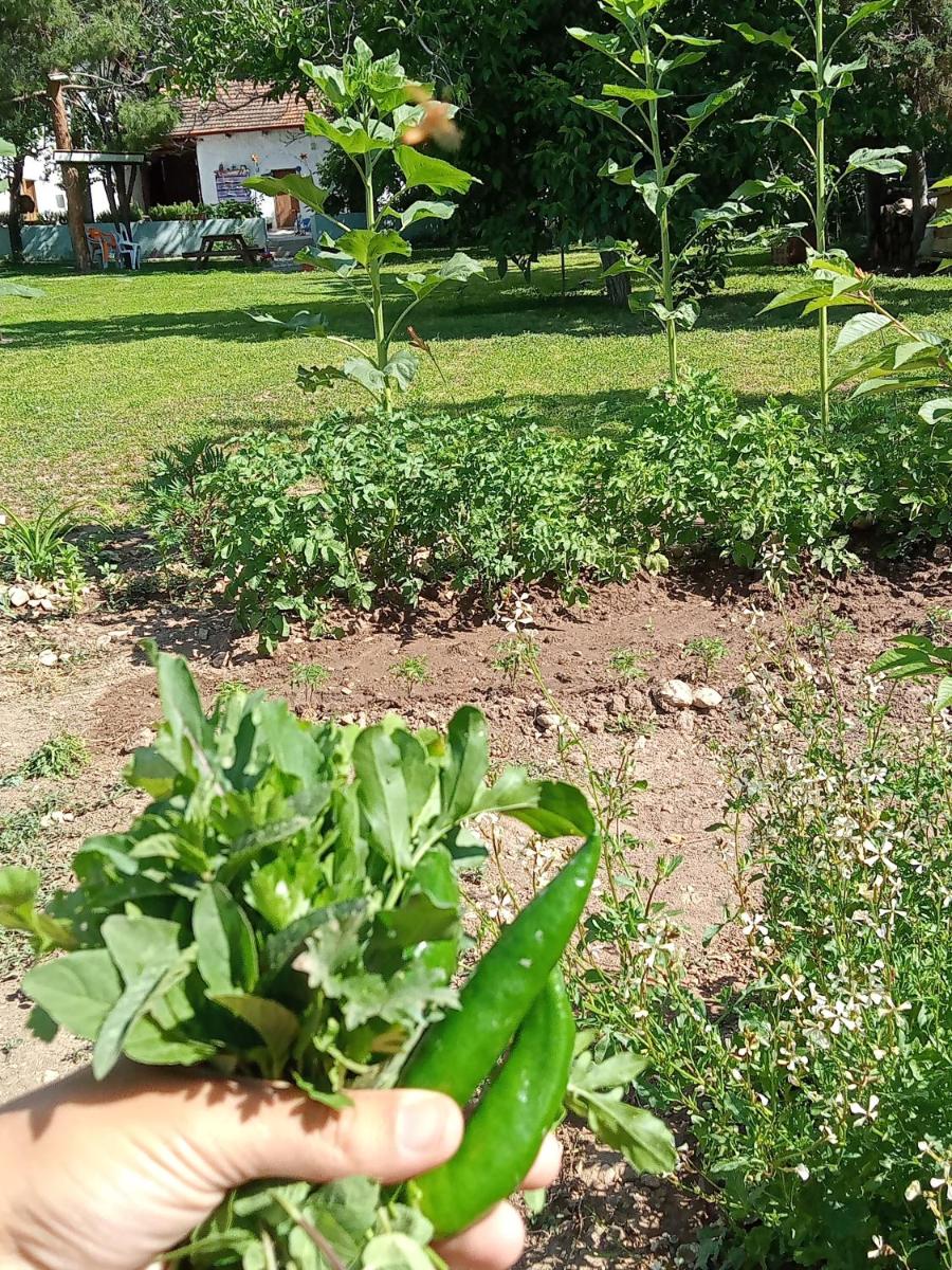 Salda Gölü Koca Kapı Konaklama - Housity
