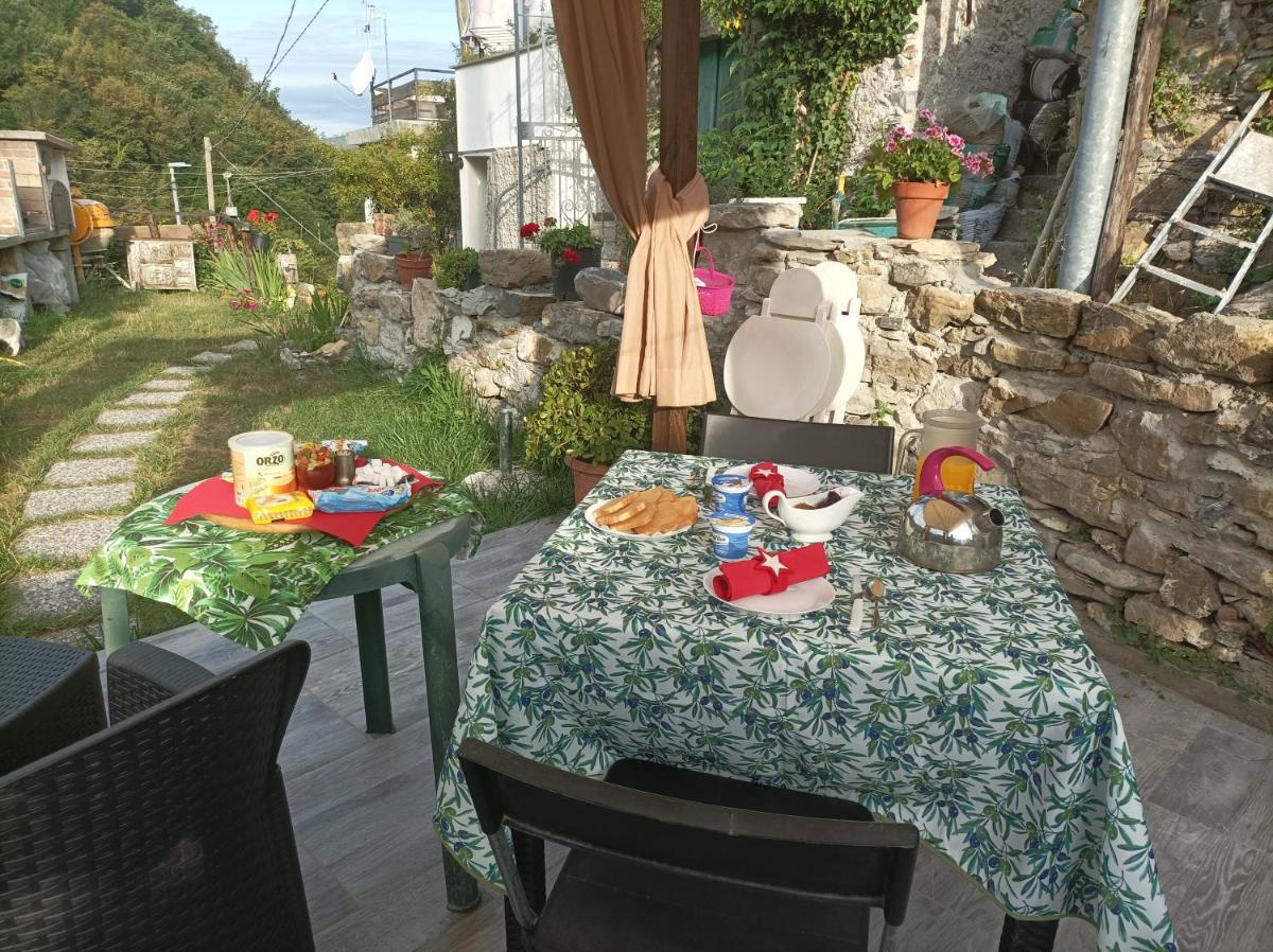 lotus flower - Housity