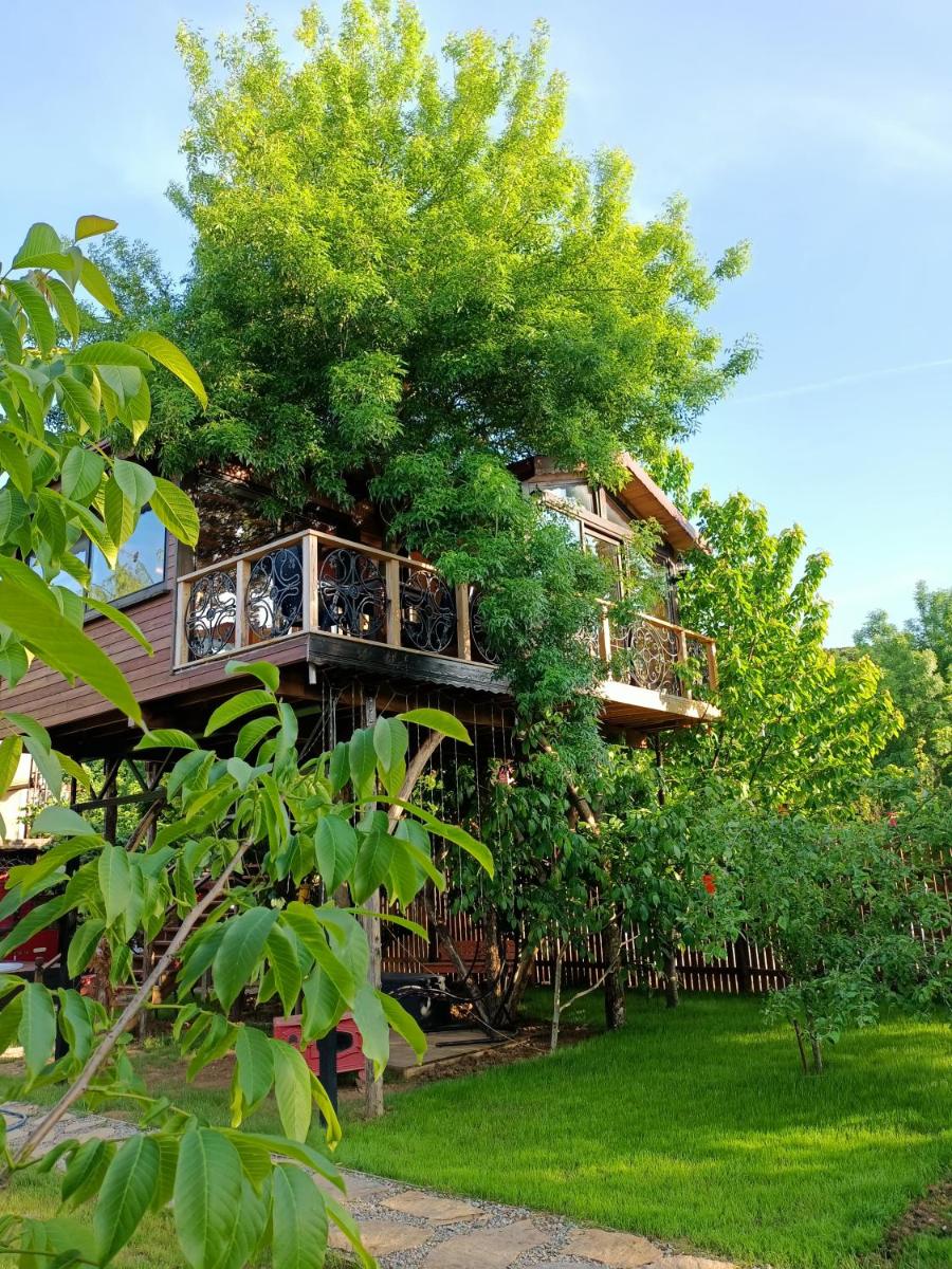 Karma Natura Treehouse - Housity