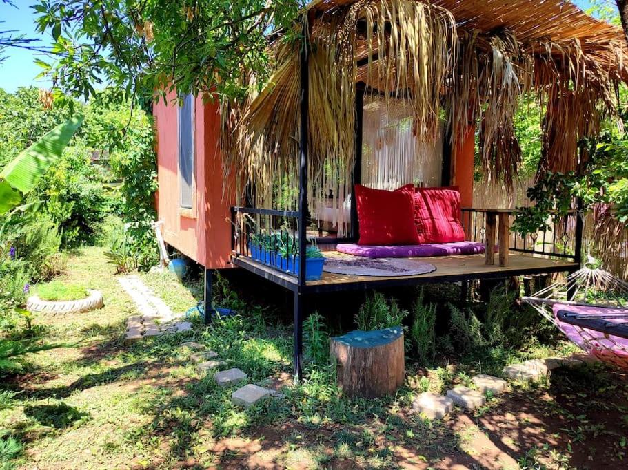 !!Tiny House İncir!! Kayaköy Jungle Camping - Housity
