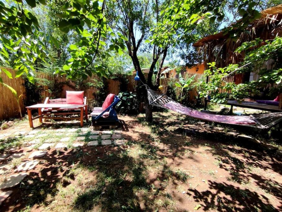 !!Tiny House İncir!! Kayaköy Jungle Camping - Housity