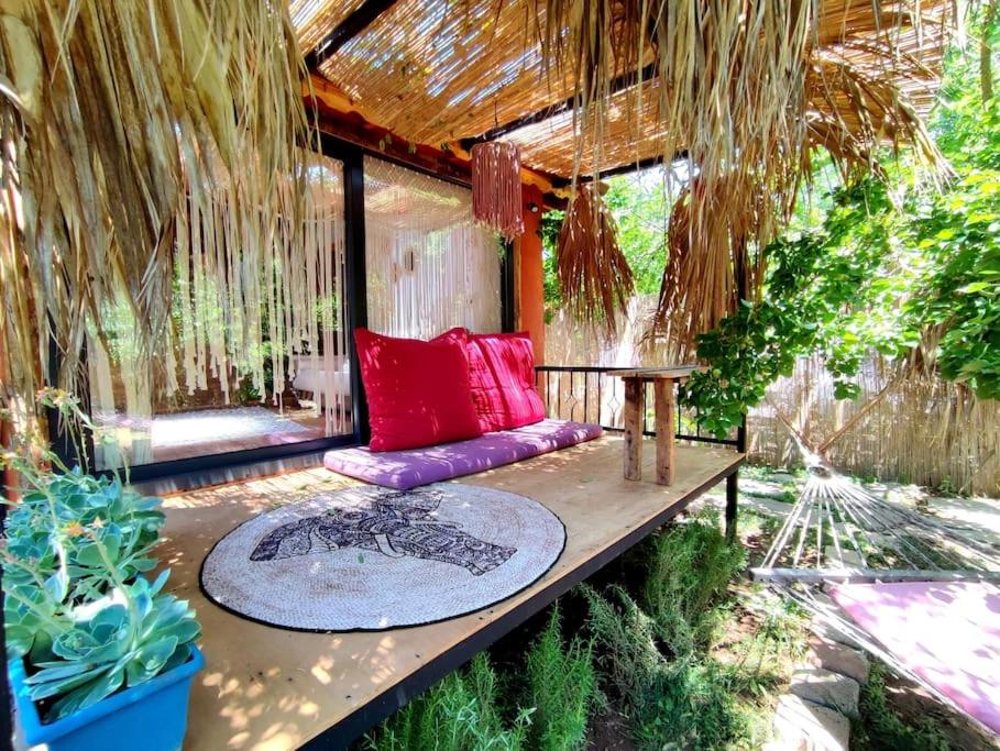 !!Tiny House İncir!! Kayaköy Jungle Camping - Housity