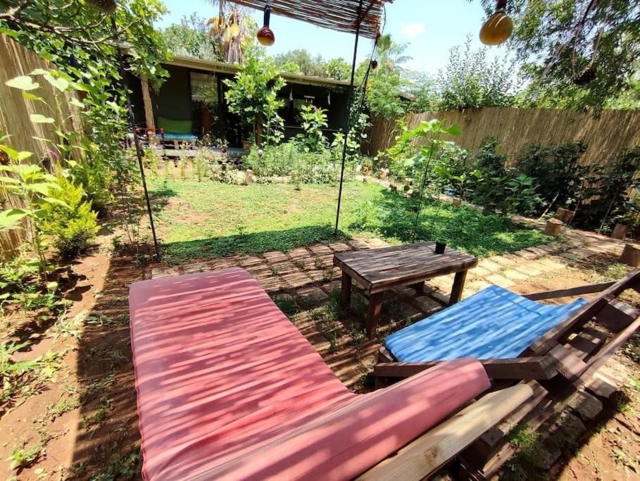 !!Welcome to the Jungle!!! Almond House - Housity