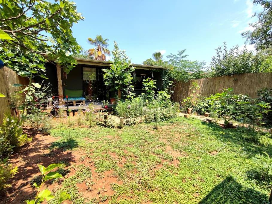 !!Welcome to the Jungle!!! Almond House - Housity